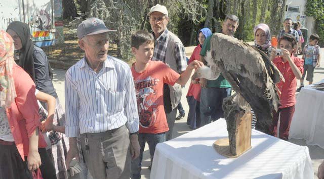 Akbabalar günü kutlandı