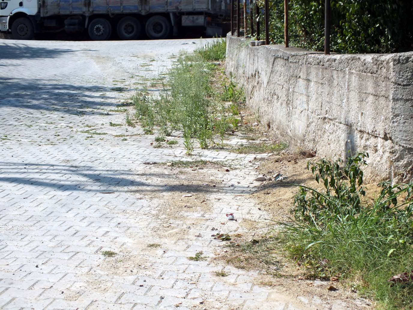 Bu sokakta yaşayanların derdi çok büyük!