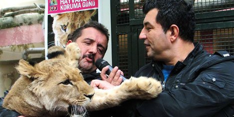 "Çağatay Yolda" gezginlerini Hayvanat Bahçesi'nde buluşturdu