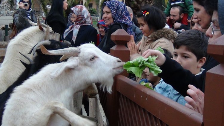 Hayvanat Bahçesi'nin sakinleri kışlık barınaklarında