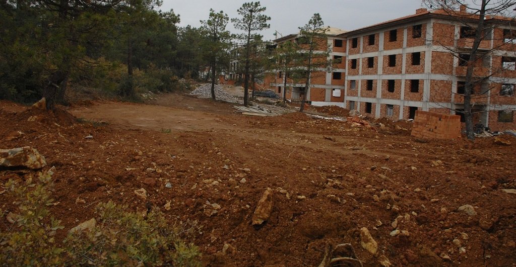 Kaplan, Gebze'deki orman tahribatını sordu