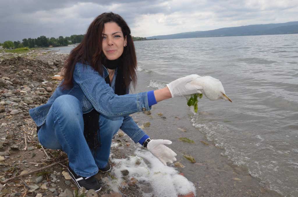  Sapanca Gölü'nde korkutan gelişme