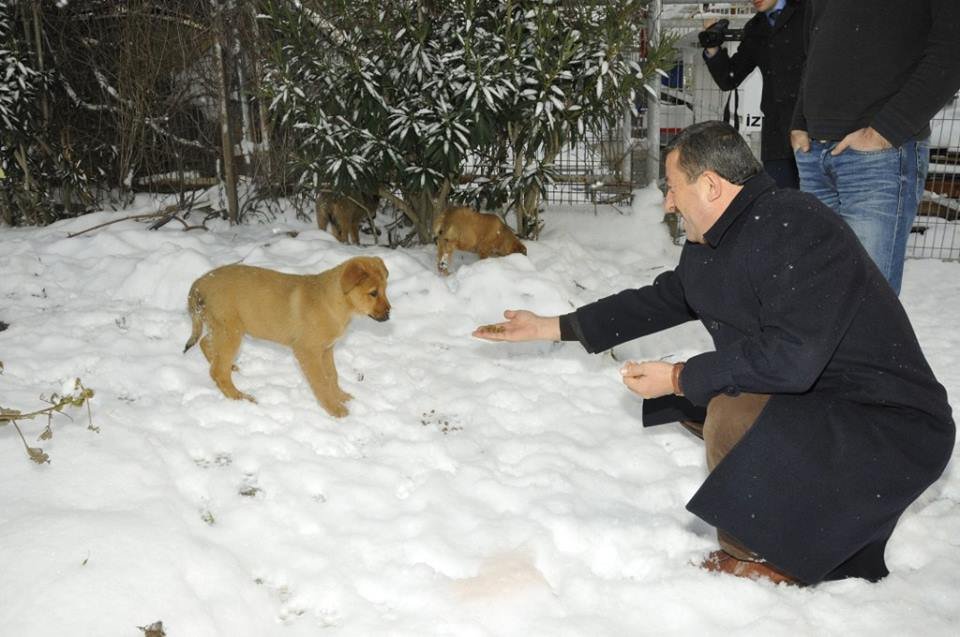 Karabacak, köpekleri elleriyle besledi!