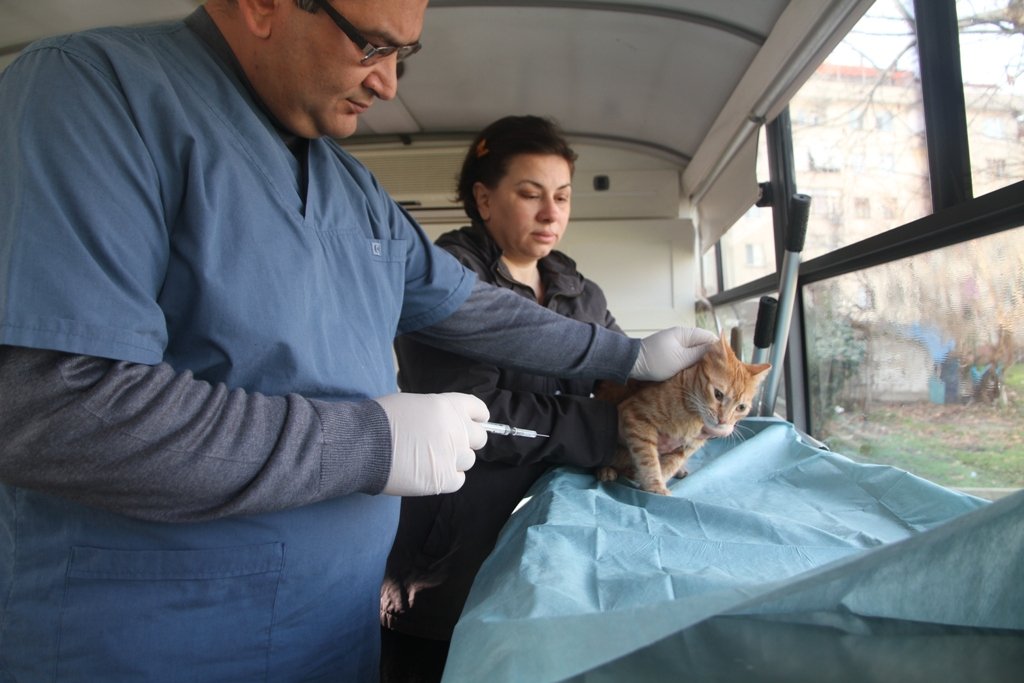 Sokak hayvanlarına mobil müdahale