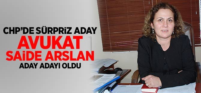 Avukat Saide Aslan CHP'den aday adayı oldu