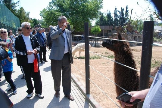 Huzurevi yaşlıları hayvanat bahçesini gezdi