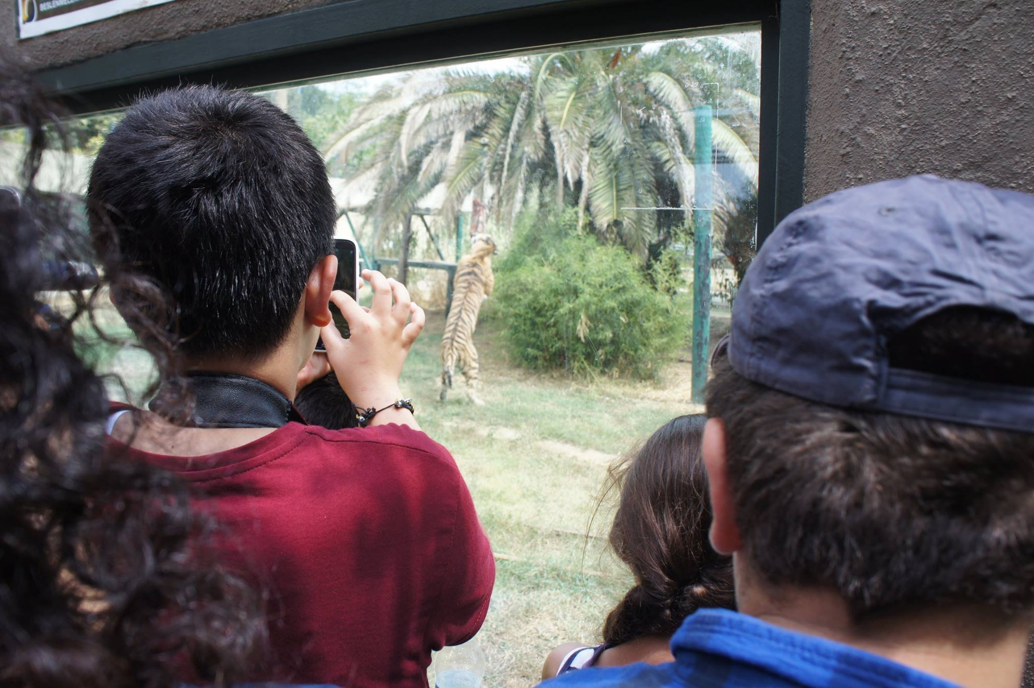 Faruk Yalçın Hayvanat Bahçesi, öğrencileri ağırlamaya devam ediyor