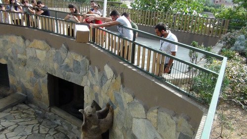 Hayvanat Bahçesi, bayramda çok kalabalıktı