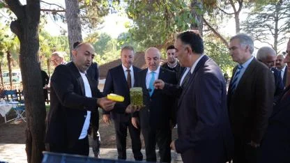 Darıca Belediyesi ve GTÜ işbirliğinde ilk zeytin hasadı gerçekleşti