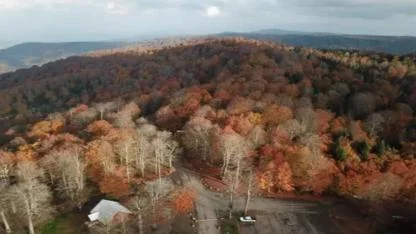 Kuzuyayla Tabiat Parkı'nda sonbahar güzelliği