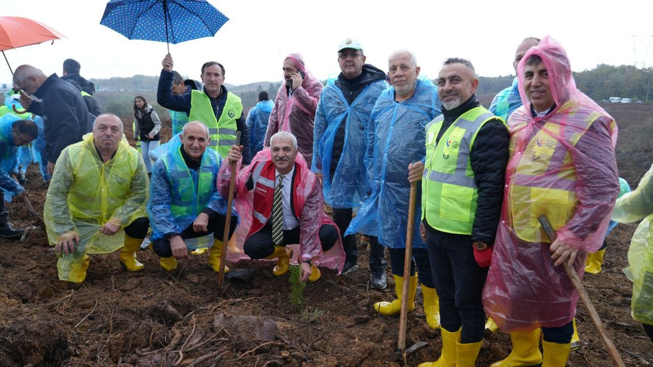 Gebze Ticaret Odası Hatıra Ormanı’nda 15 Bin fidan toprakla buluştu