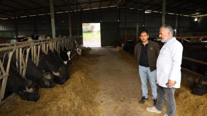 Kocaeli’de manda sayısı Büyükşehir’in desteğiyle artıyor