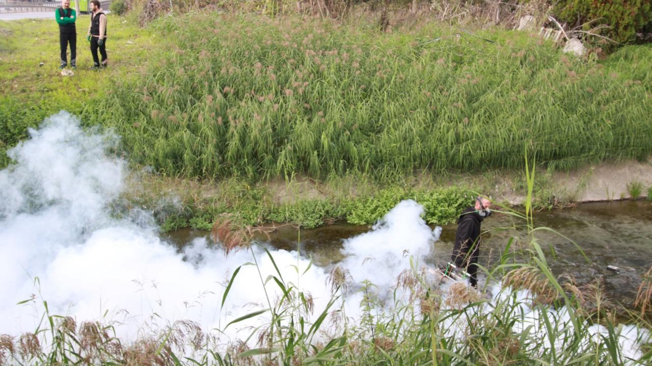 Sinekle mücadele sonbaharda da hız kesmiyor