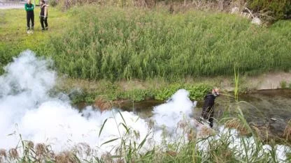 Sinekle mücadele sonbaharda da hız kesmiyor