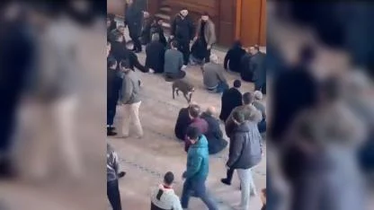 Camiye giren pitbull, cemaatin arasında bir tur attıktan sonra çıkarıldı