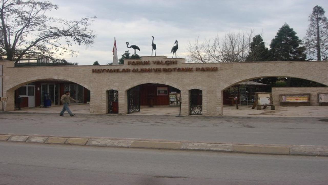 Kış şartları nedeniyle Darıca Faruk Yalçın Hayvanat Bahçesi kapalı
