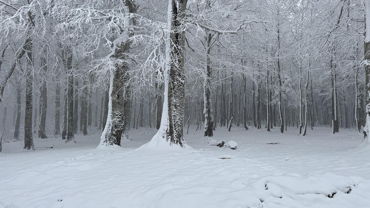 Kocaeli’nin Güneyinde Kuvvetli Kar Yağışı Bekleniyor