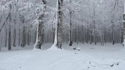 Kocaeli’nin Güneyinde Kuvvetli Kar Yağışı Bekleniyor
