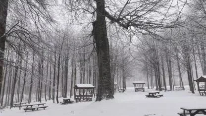 Kuzuyayla Tabiat Parkı’nda kar manzarası
