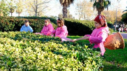 Minikler yerli üretimi uygulayarak keşfetti