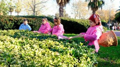 Minikler yerli üretimi uygulayarak keşfetti