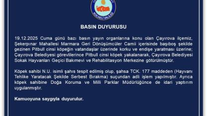 Camiye giren köpeğin sahibi hakkında adli işlem başlatıldı
