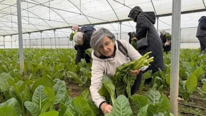Saygınlar Kulübü’nün ‘tarım’ keyfi