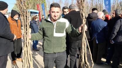 Üreticilere 3 bin 600 Trabzon hurması fidanı dağıtıldı