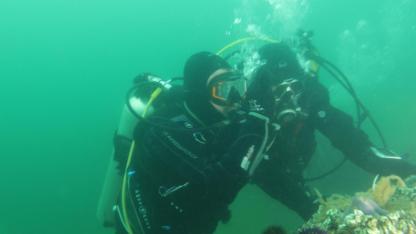 Başkan Büyükakın, bu kez Eskihisar’da dalış yaptı