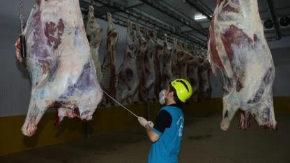 Büyükşehir Mezbahası’nda 6 bin 29 kesim yapıldı