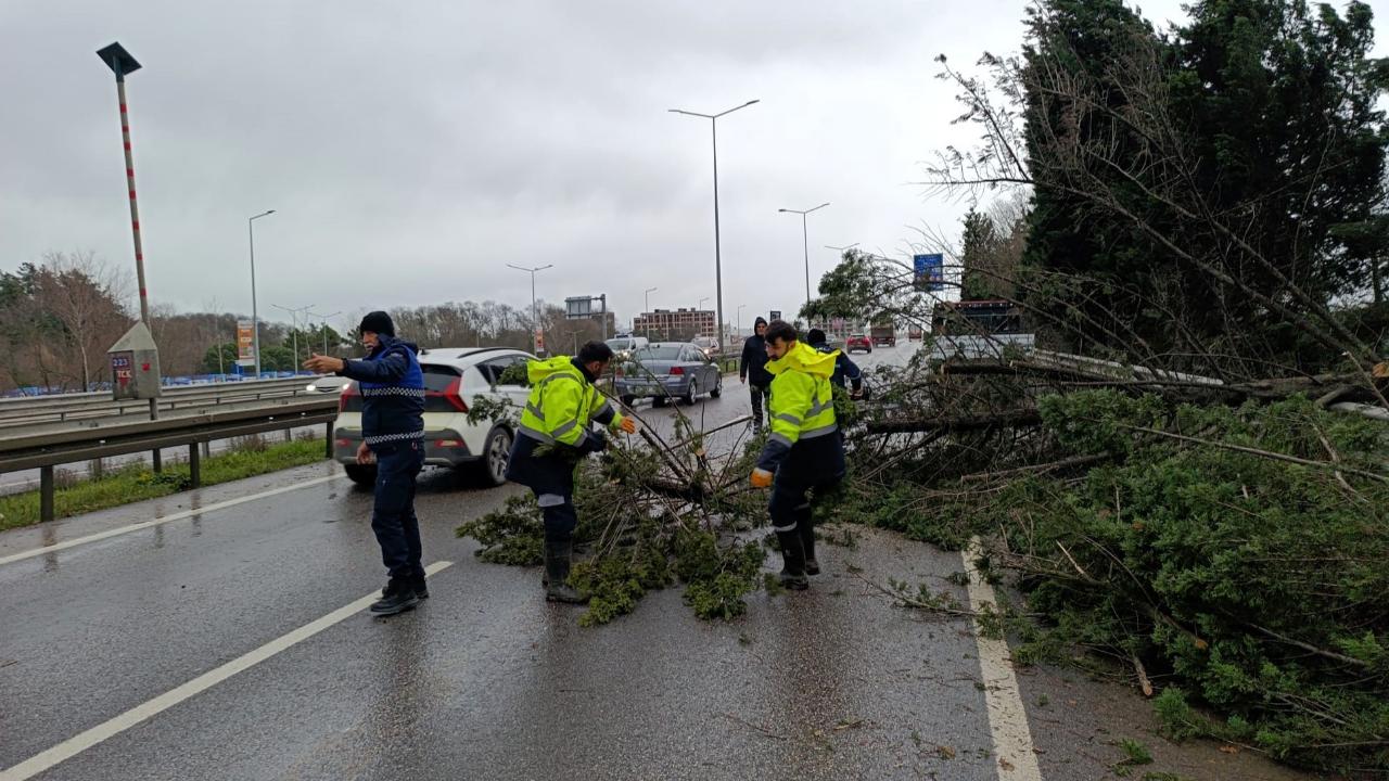 Büyükşehir, şiddetli lodosa karşı teyakkuzda