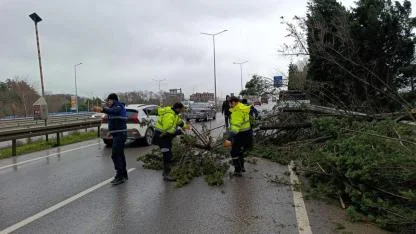 Büyükşehir, şiddetli lodosa karşı teyakkuzda