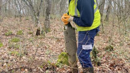 Büyükşehir’den ecdat mirasına vefa