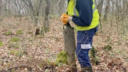 Büyükşehir’den ecdat mirasına vefa