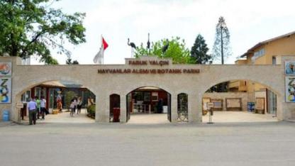 Darıca Faruk Yalçın Hayvanat Bahçesi, faaliyetlerine tamamen son verdi!