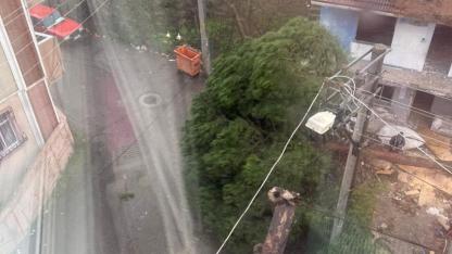 Kesilen ağaç, telleri koparınca mahallede elektrik kesintisi yaşandı