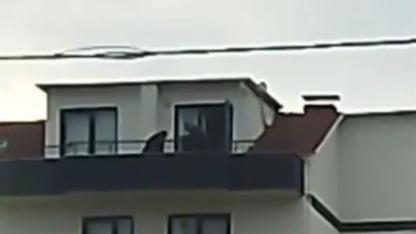 MİT ve TEM ortak operasyonla firari fetöcüyü çatıda yakaladı