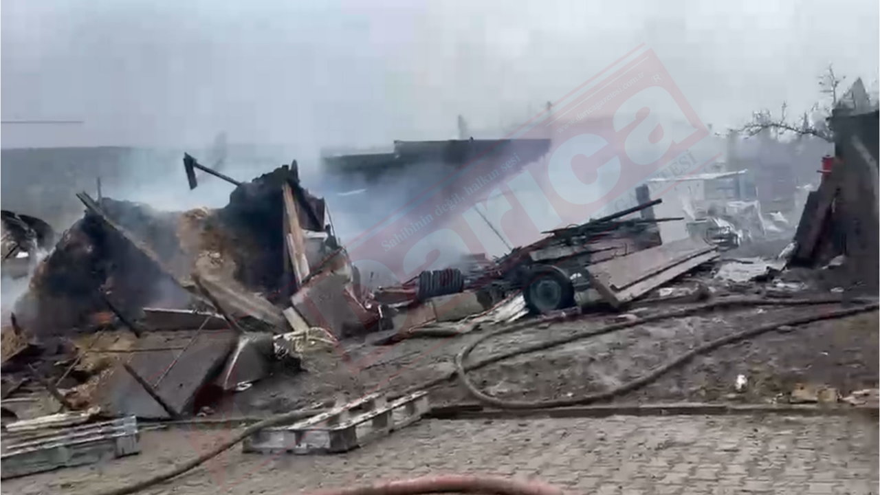 Dilovası’nda yanan ağılda yüzlerce hayvan telef oldu