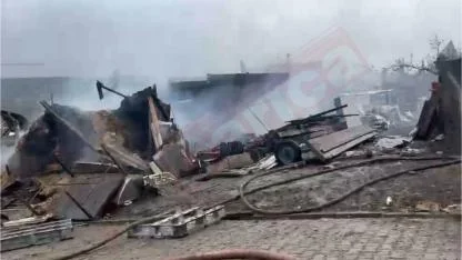 Dilovası’nda yanan ağılda yüzlerce hayvan telef oldu