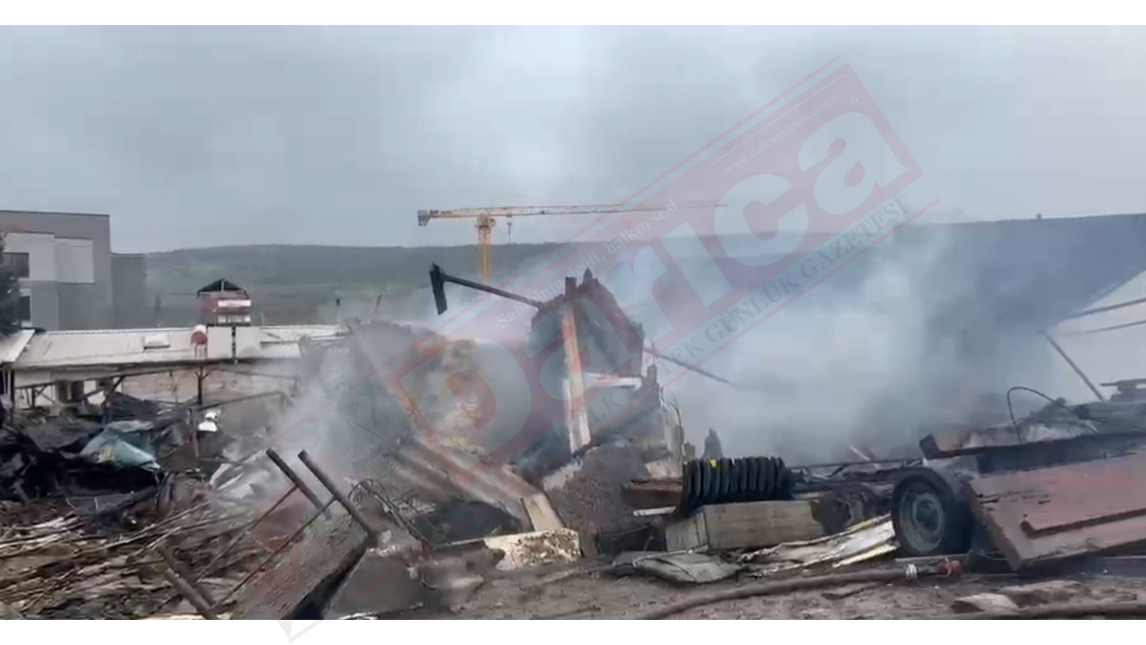 Dilovası’nda yanan ağılda yüzlerce hayvan telef oldu