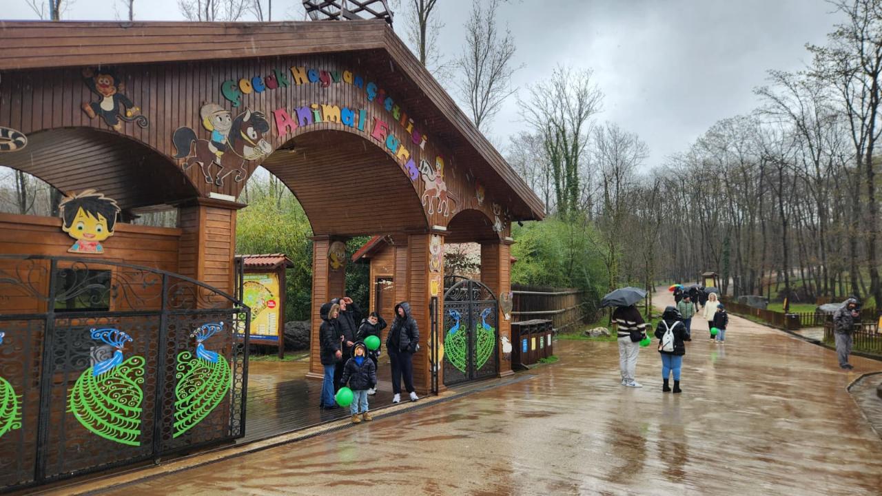 Ormanya bayramda yine zirvede