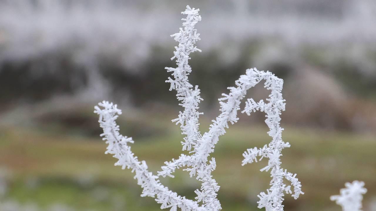 Kocaeli Valiliği uyardı!