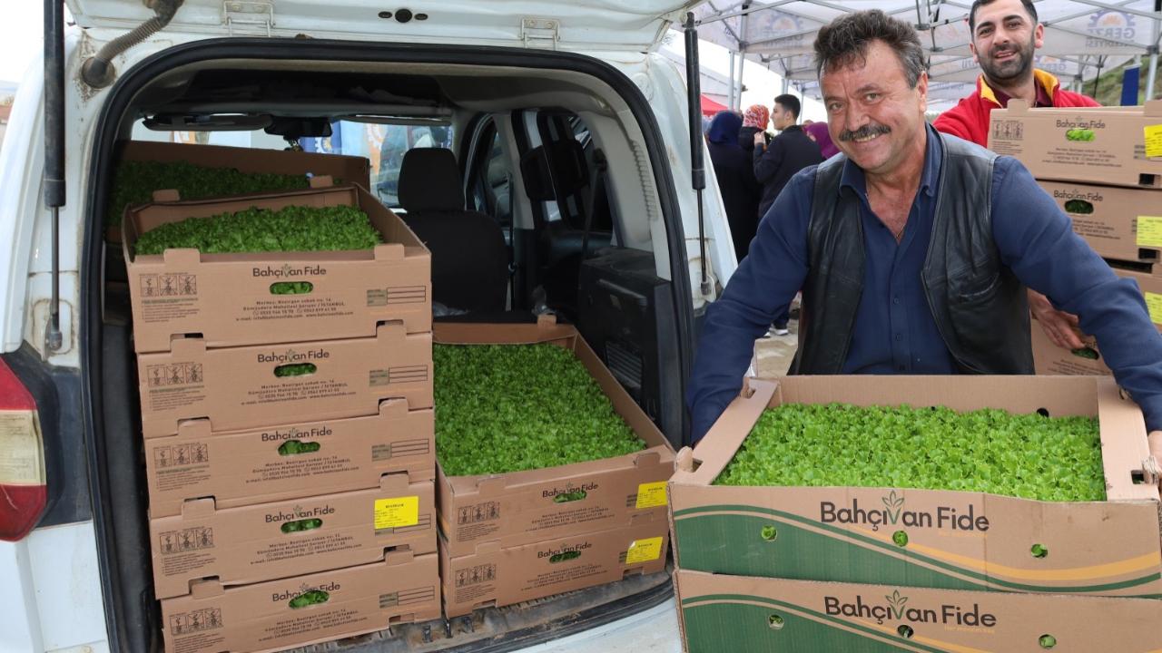 Kocaeli’de çiftçilere sebze fidesi desteği