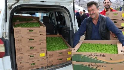 Kocaeli’de çiftçilere sebze fidesi desteği