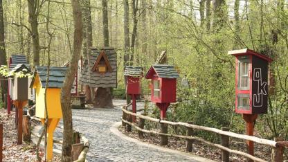 Orman Kütüphanesi’nde okuma keyfi bambaşka