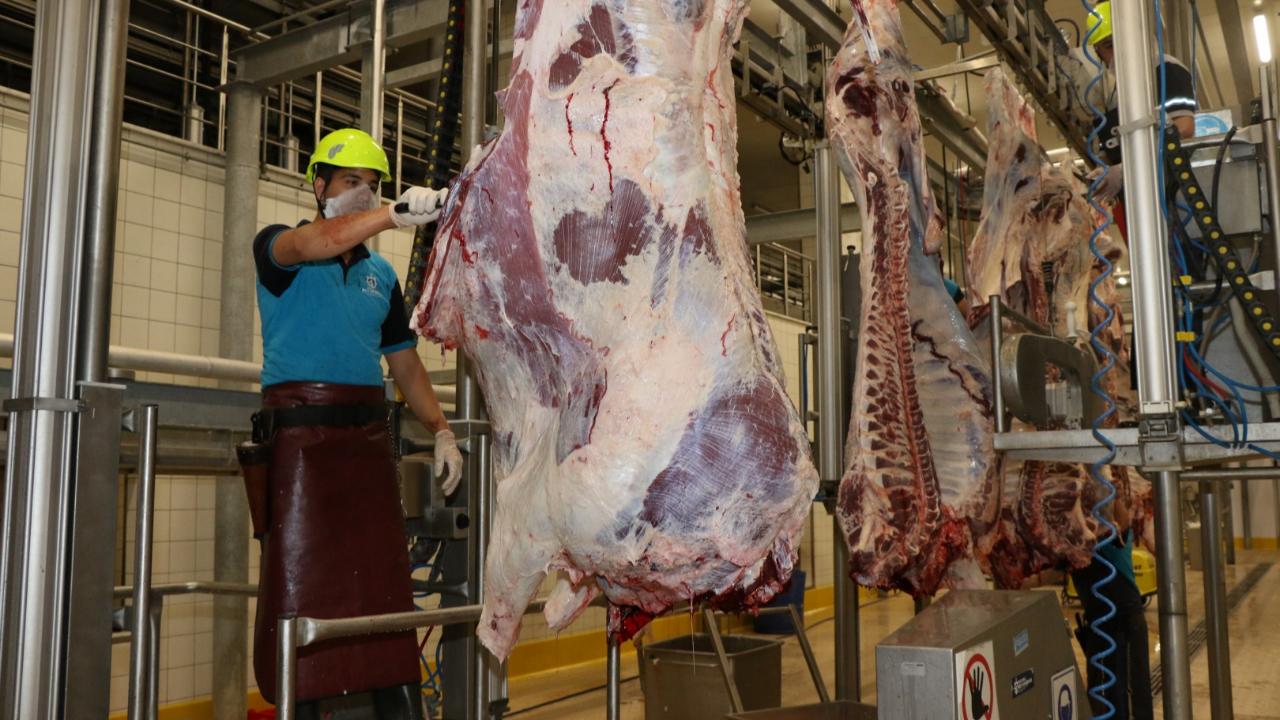 Kurban kesim başvuruları 11 Mayıs’ta başlıyor